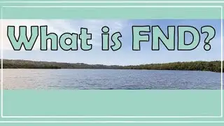 What is Functional Neurological Disorder? FND explained