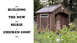 The New Silkie Chicken Coop!!