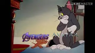 AVENGERS ENDGAME in a nutshell