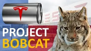 Проект Tesla &laquo;BOBCAT&raquo;: что строит Tesla? (Батарея 4680)