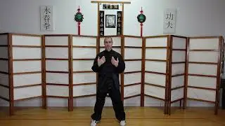 Apprendre le Siu Lim Tao
