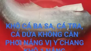 C&Aacute;CH L&Agrave;M KH&Ocirc; MỘT NẮNG C&Aacute; TRA ,C&Aacute; BA SA ,C&Aacute; DỨA KH&Ocirc;NG CẦN PHƠI NẮNG/MẸO HAY# TH&Uacute;Y LONG AN VLOG