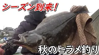 Flounder season is here again this year!