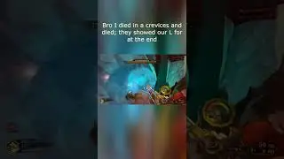 Fell Into a Crevice&hellip; and They Showed Our L at the End