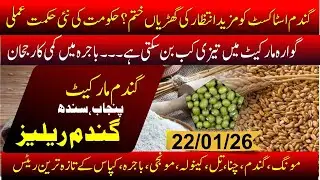 Today Wheat rate 2026 | Guar price today | Sugar rate today | Bajra updated today | punjab & sindh