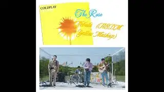 The Rose - Nebula  (Coldplay - Yellow 