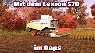 -Mit dem Lexion 570 im Raps- Diepholz#12 LS25