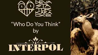 Interpol - Who Do You Think (Karaoke Version) [DevastatorKaraoke]