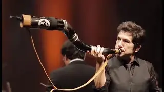 Daniel, Quarteto Igua&ccedil;u e Orquestra das Cordas do Paran&aacute; - Menino da Porteira/Disparada