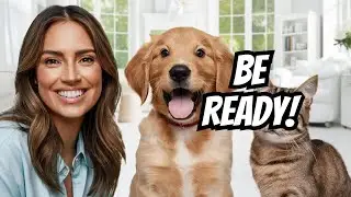 Essential Tips for First-Time Pet Adopters | The ultimate guide for first-time pet owners