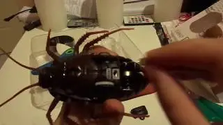 GEARBEST-RC Prank Toys Insects Joke Scary Trick Bugs for Party - DEEP BROWN