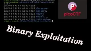 picoCTF 2019 [1] | some binary exploitation!