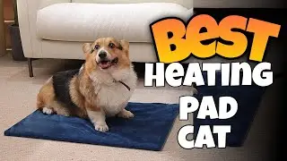TOP 3:✅BEST CAT HEATING PAD 2025-2027 #heatingpad #catpad #petpad #heatingmat #cat #catbed 