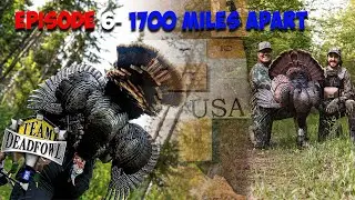 TURKEY HUNTING: Same Day Success 1700 Miles Apart!