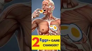 2 Eggs A Day | Superfood Or Silent Danger? @TGBID