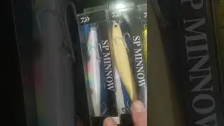 Best Daiwa SP Minnows for Rhode Island spring striped bass.  Daiwa SP Minnow Lures
