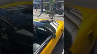 Flush glass custom trans am