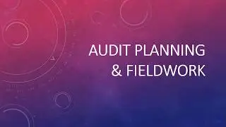 AUDIT PLANNING AND FIELDWORK