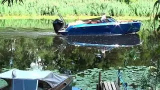 Sauga