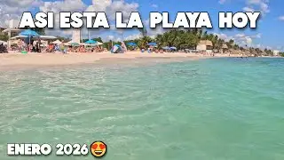Playa Del Carmen Ultima Hora Actualización❤️Enero 2026