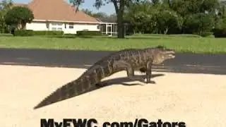 Nuisance Alligator PSA
