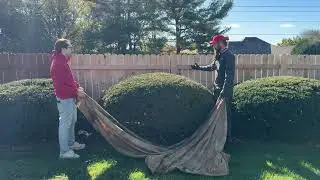 Fence Staining Tip that Saved Me!