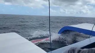 RIDING THE WAVES IN FASTCRAFT FERRY FROM SIARGAO TO SURIGAO CITY