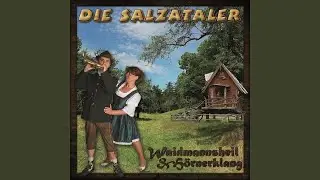 Die Post im Walde