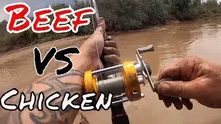 Beef VS Chicken (Rio Grande River Channel Catfishing)