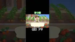 今更だけど初アリ　#あつ森 #あつまれどうぶつの森 #あつ森switch #switch #nintendo