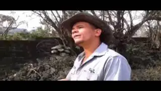 Alex Rocha - &Eacute; Tudo que eu sempre quis