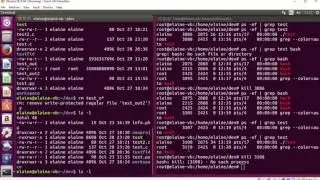 Linux: Working with Processes (applies also to Raspberry Pi and Unix)