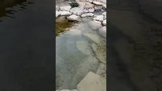 Sounds of running water- small falls nice sound #ecosystem #naturesounds #relaxingsoundscapes