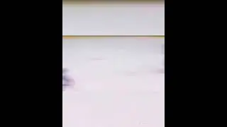 Schweiz - Deutschland 1:0 Eishockey Wm Viertelfinale