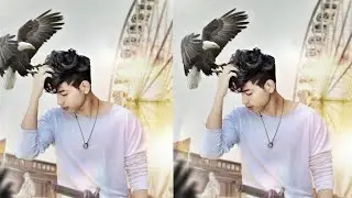 picsart eagle photo editing tutorial in picsart step by step - eagle concept photo editing 2021