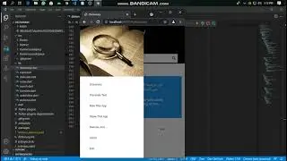 How to make a Dictionary and Translator with Flutter