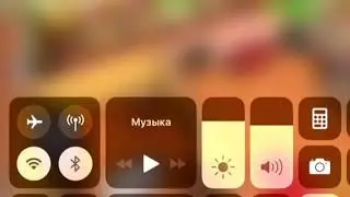 Рассказываю про игру// Pet World//Кто обожает животных?