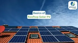 🌞 Plexus Energy Limited presents: 