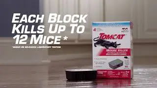 How to Eliminate Mice Using the Tomcat&reg; Mouse Killer Disposable Bait Station