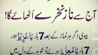 Noor Mentor 91 is live
