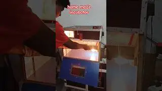 home made incubator for chicken #automaticicubator #poultryequipment