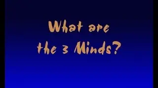 Accelerated Consciousness by Roger  Part 2  The 3 Minds