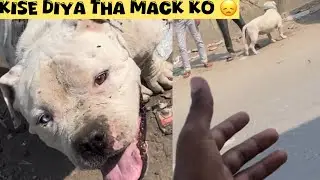 Ritik ko Mack kyu nhi diya tha 🤬@NikhilPetHouse 