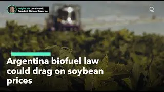 Argentina&rsquo;s New Biofuel Laws Could Move Global Soybean Markets