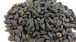 Itrifal sanai