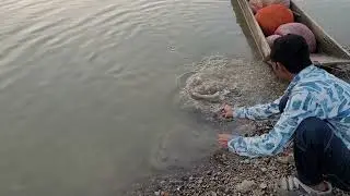 Gambhir nadi ka shikar snake head fish 