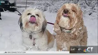 Mandy & Lexi 2018 04 02 NBC30 4th