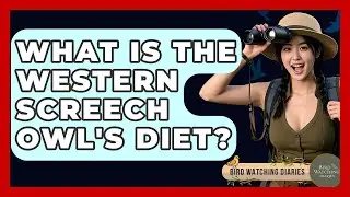 What Is The Western Screech Owl's Diet? - Bird Watching Diaries
