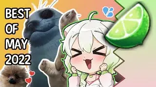 Ferret Vtuber Teaches Chat the 'Naughty Tango' - Best of May 2022