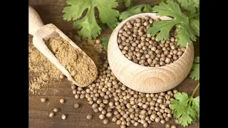 Coriander Cleaning   Mini